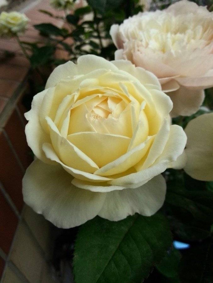 IMG20140504100659.jpg