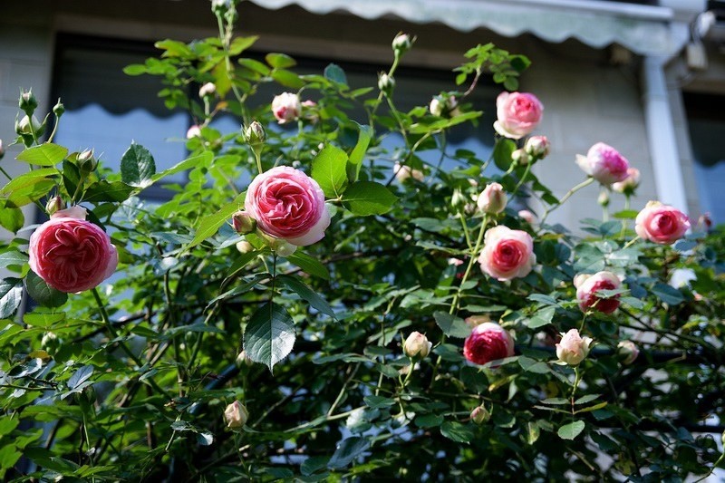 ������С SPR_9067.jpg