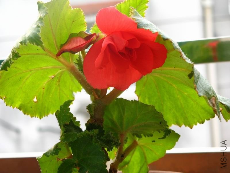 �����ݲ�4 012.JPG
