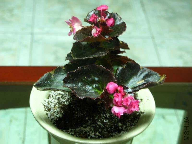 �����ݲ�4 020.JPG