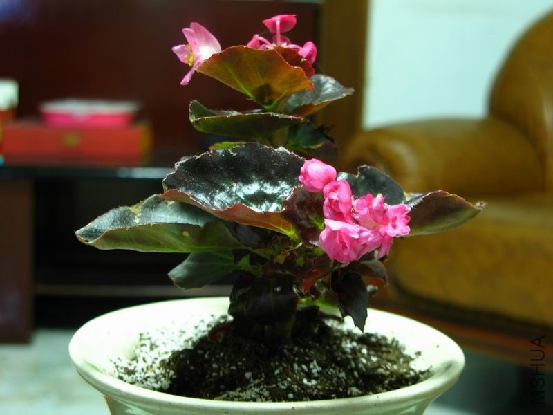 �����ݲ�4 021.JPG
