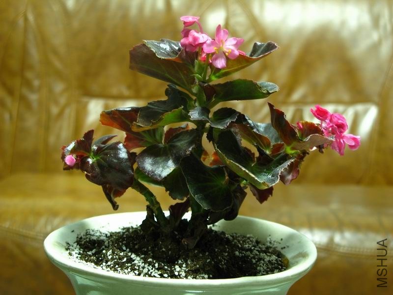 �����ݲ�4 023.JPG