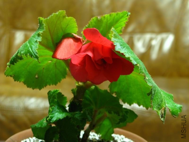 �����ݲ�4 024.JPG