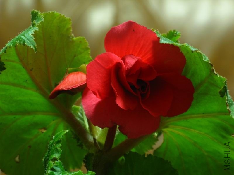 �����ݲ�4 026.JPG