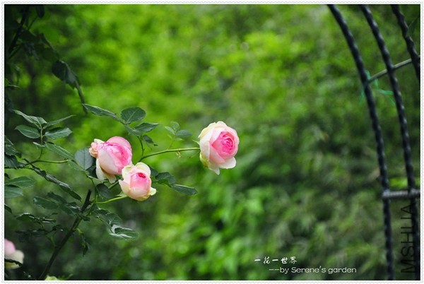 _DSC1369_����.jpg