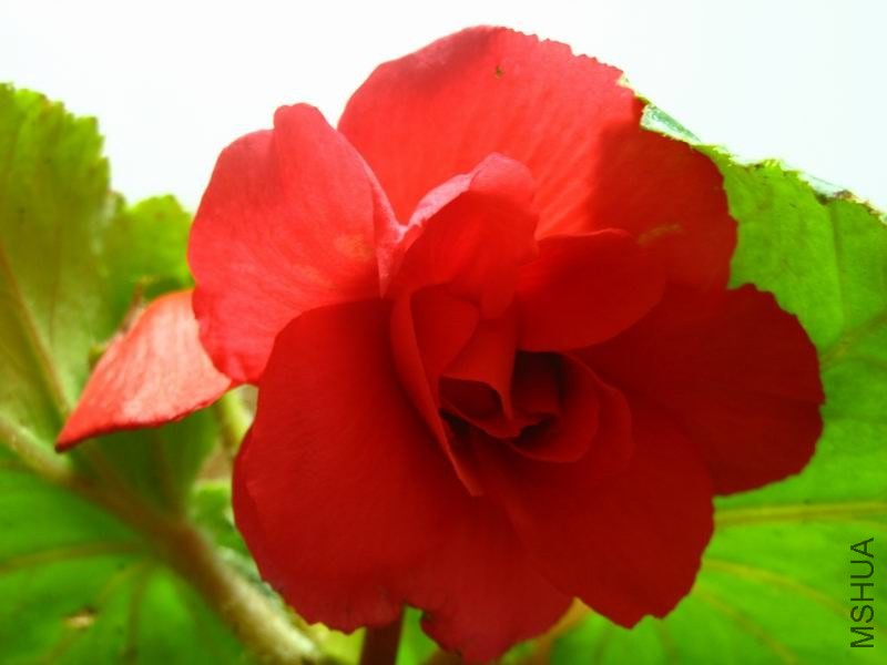 �����ݲ�4 188.JPG