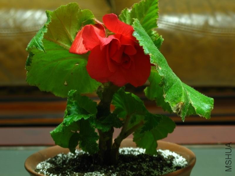 �����ݲ�4 186.JPG