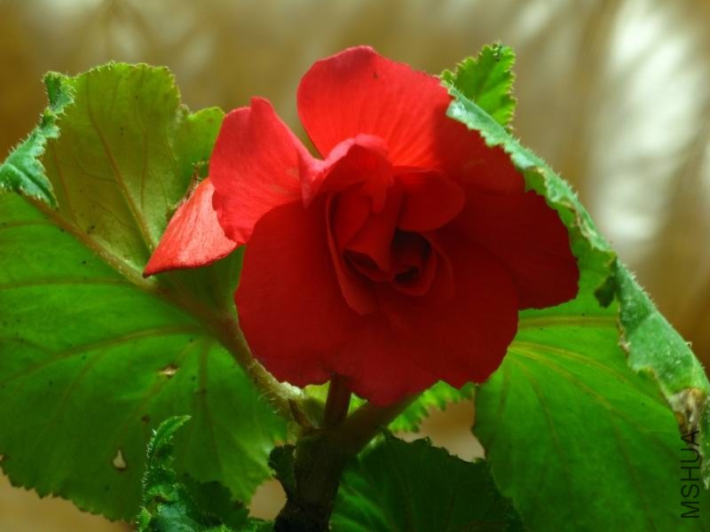 �����ݲ�4 187.JPG