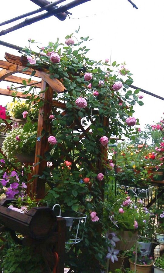 QQͼƬ20140504175056.jpg