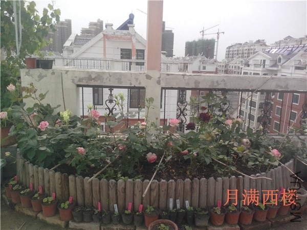 IMG20140504022.jpg