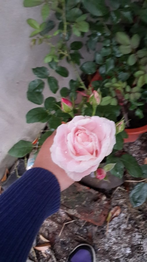 ���飬�����꣬���е����
