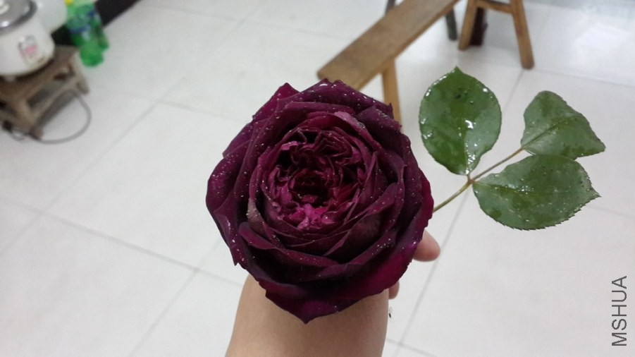 �ʹ����ڣ��ӽ���ʵ��ɫ