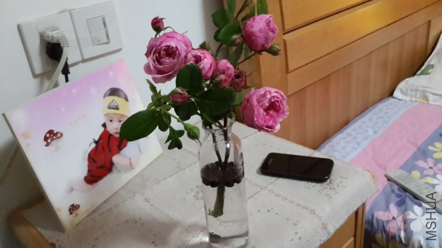 ������̫���ˣ�ʵ���ǿ�����ֻ�ܼ�������