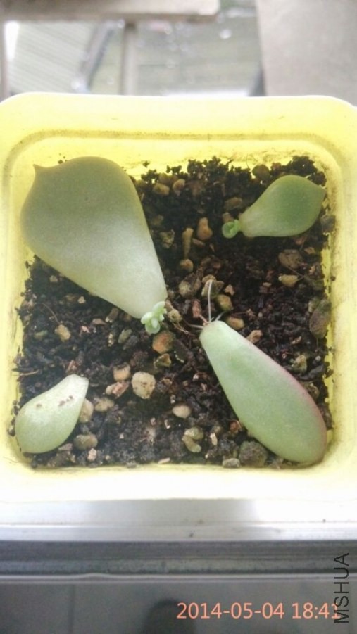 QQͼƬ20140504184933.jpg