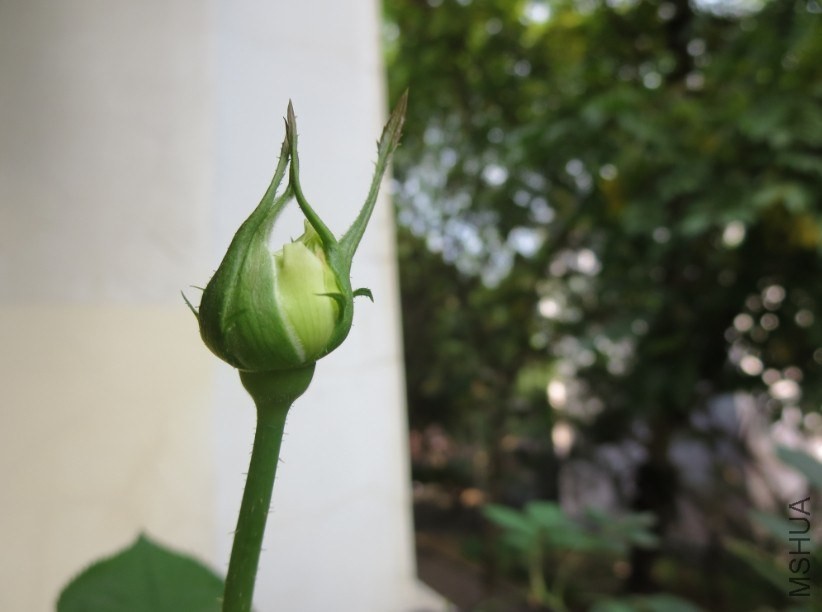QQͼƬ20140504183444.jpg