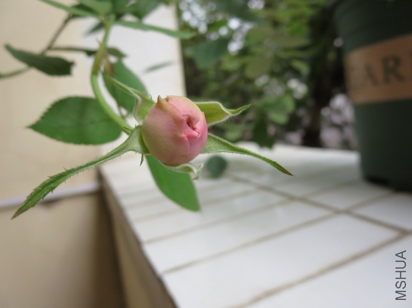 QQͼƬ20140504183646.jpg