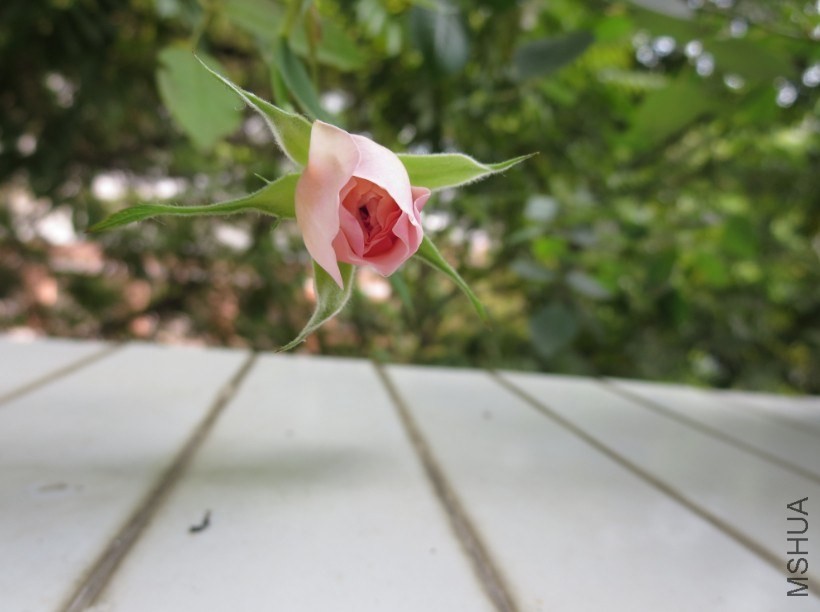 QQͼƬ20140504183703.jpg