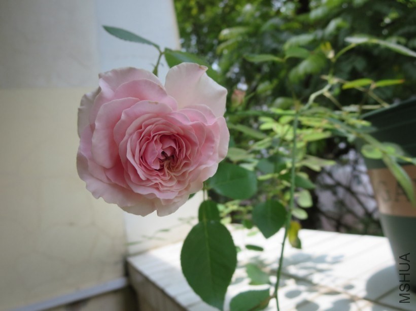 QQͼƬ20140504183818.jpg