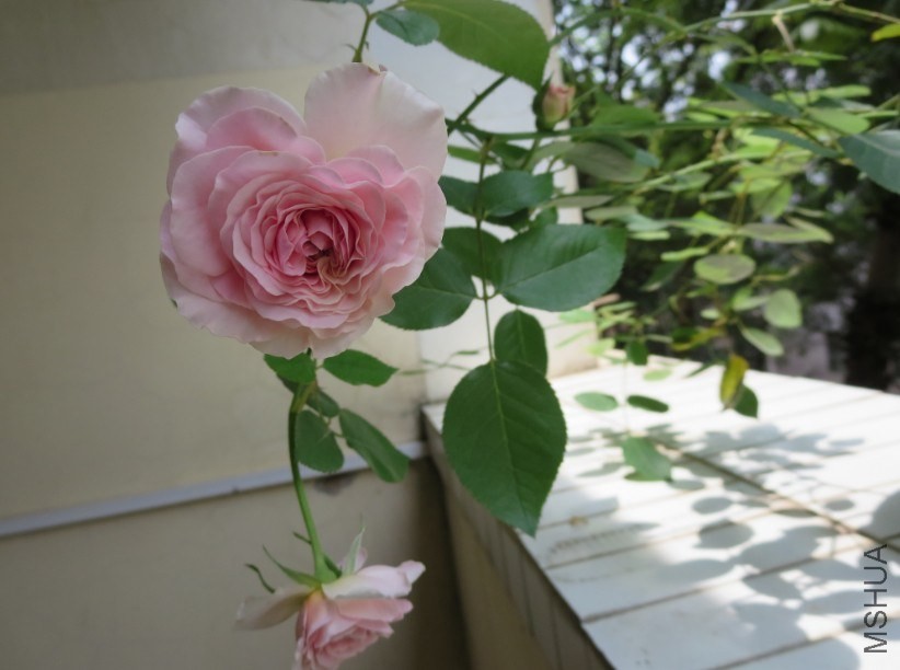 QQͼƬ20140504183859.jpg