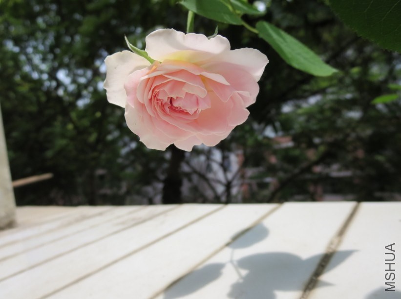 QQͼƬ20140504183940.jpg