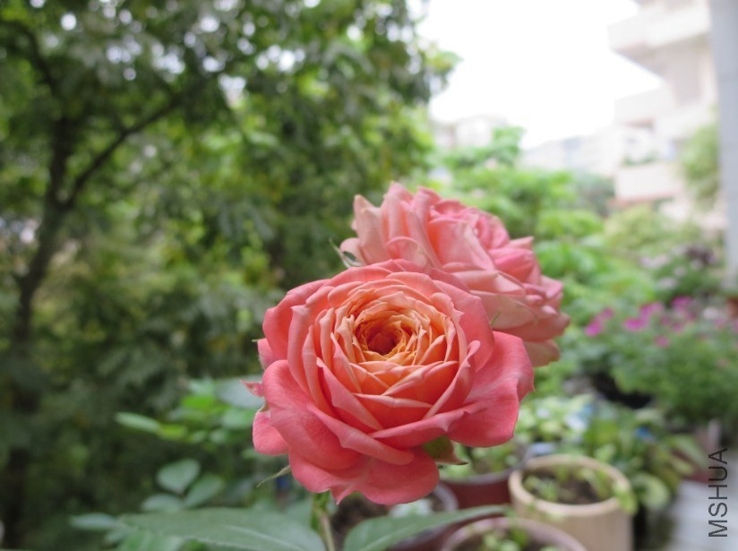 QQͼƬ20140504184743.jpg