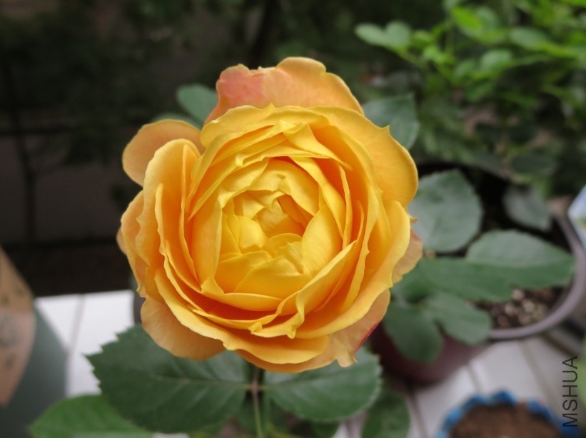 QQͼƬ20140504185137.jpg
