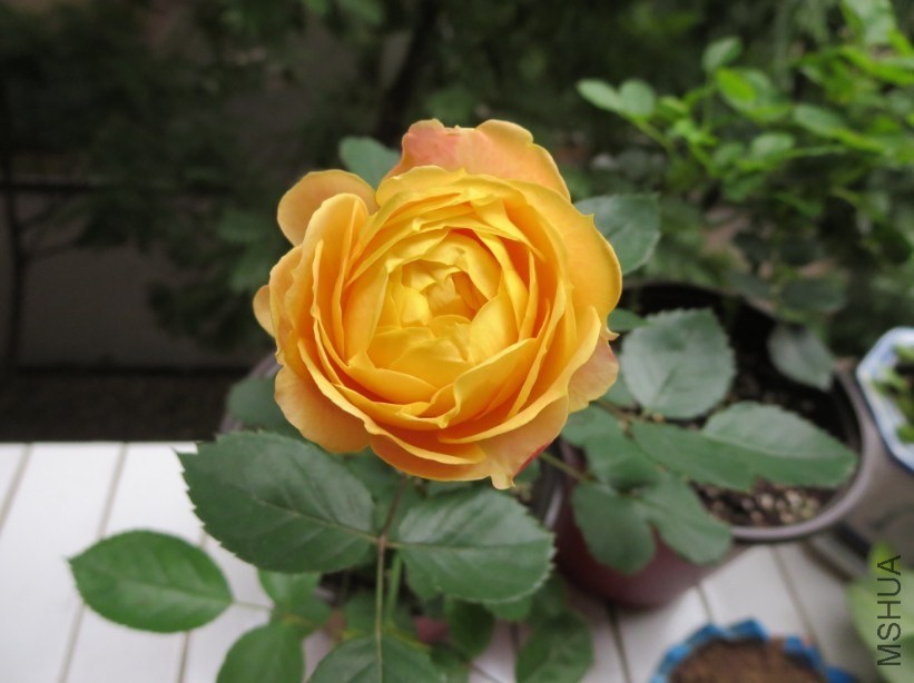 QQͼƬ20140504185230.jpg