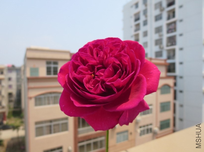 QQͼƬ20140504185523.jpg