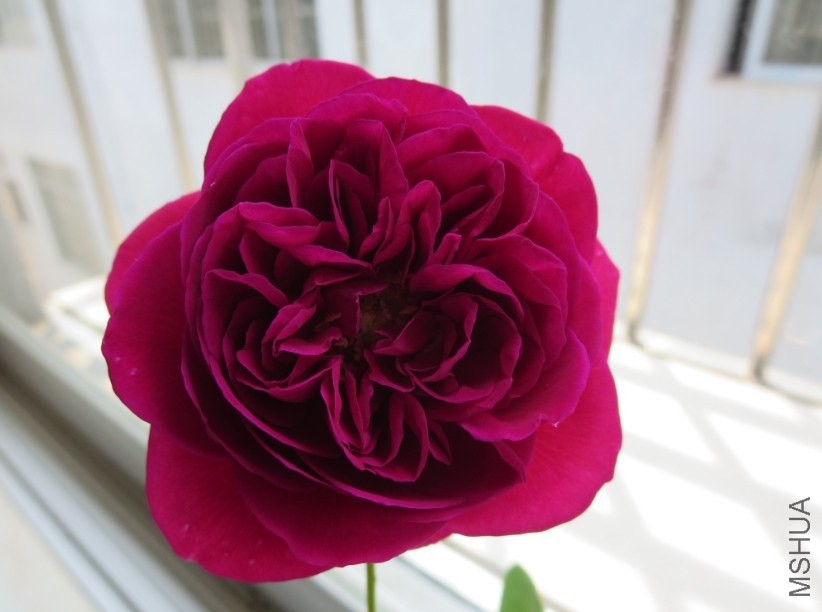 QQͼƬ20140504185537.jpg
