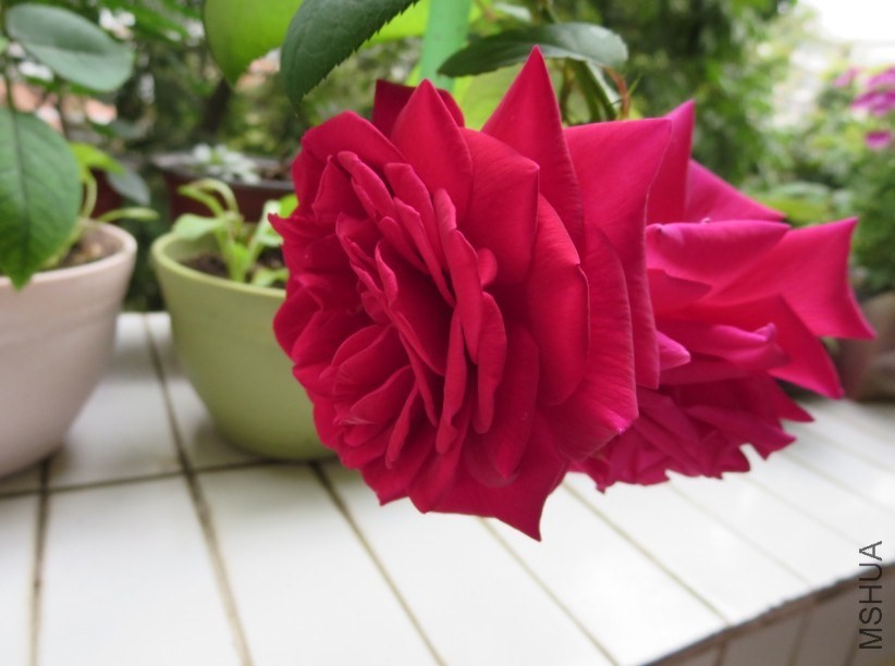 QQͼƬ20140504185613.jpg