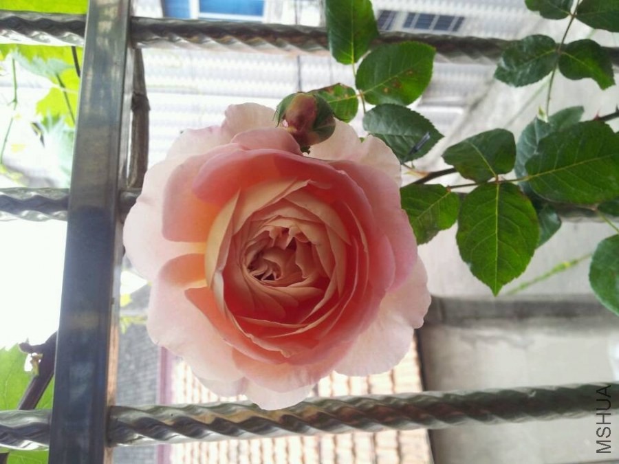 QQͼƬ20140504192247.jpg