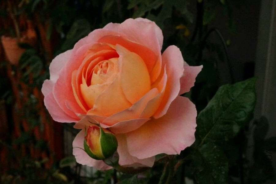 QQͼƬ20140504192237.jpg