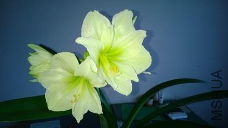 WP_20140129.jpg
