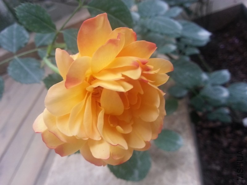 20140504_181309.jpg