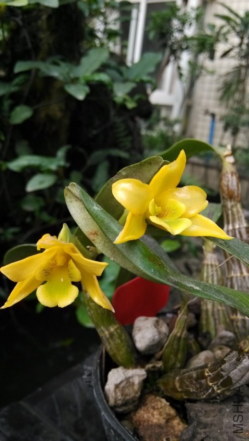 IMG_20140504_181003.jpg