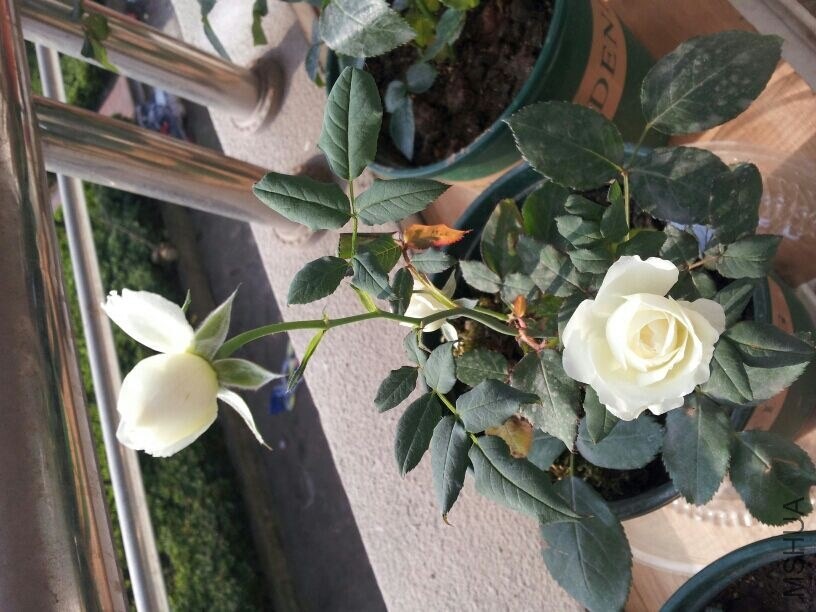 QQͼƬ20140504214406.jpg