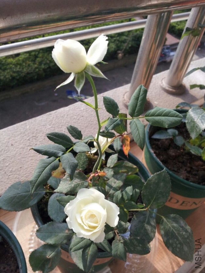 QQͼƬ20140504214424.jpg