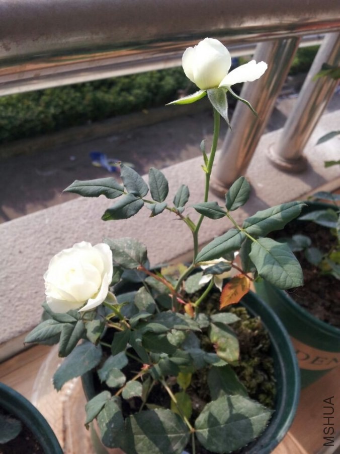 QQͼƬ20140504214427.jpg