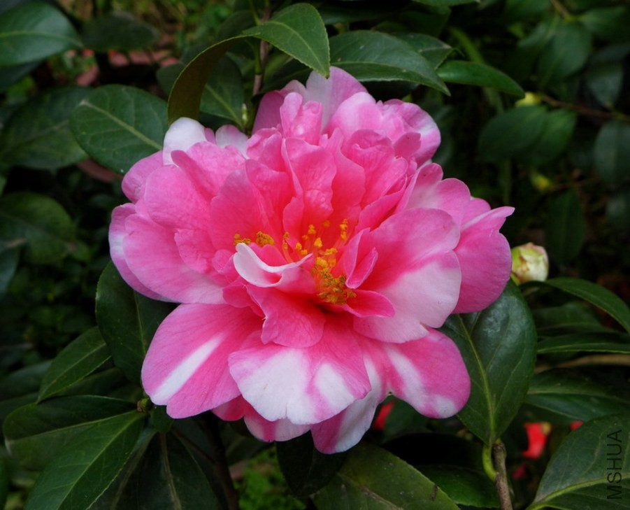 P1430476-.jpg