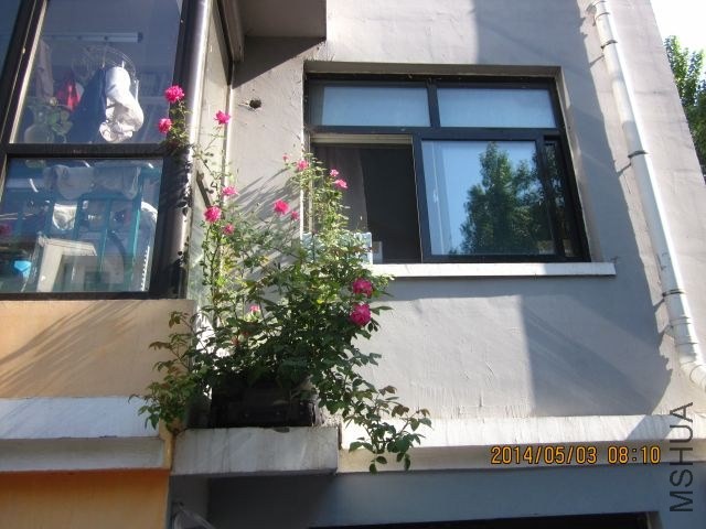 ������¼� 001_1.jpg