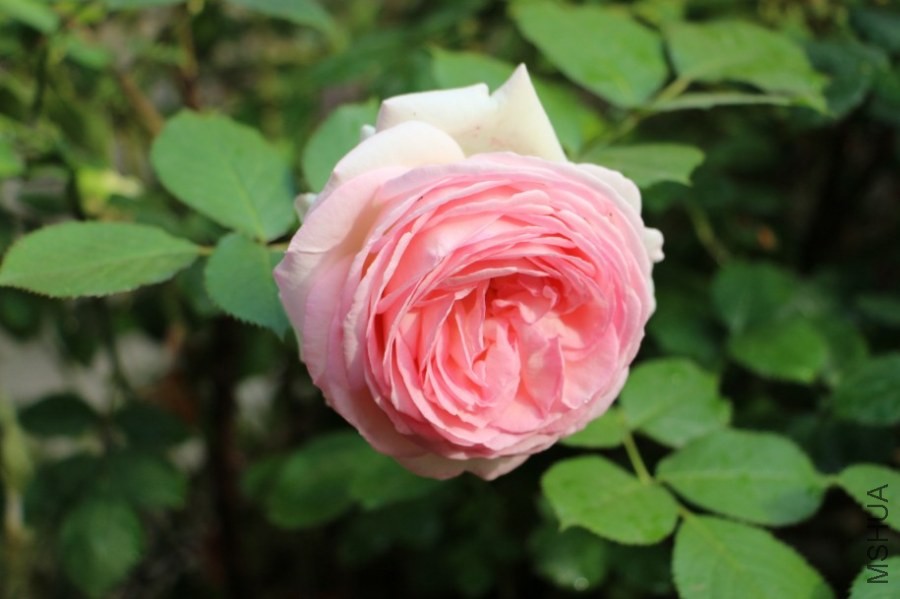 QQͼƬ20140504233519.jpg