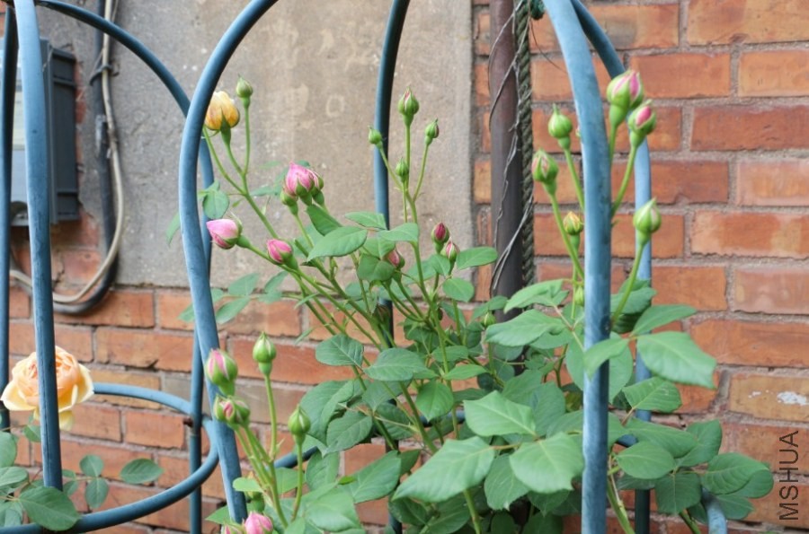 QQͼƬ20140504233653.jpg