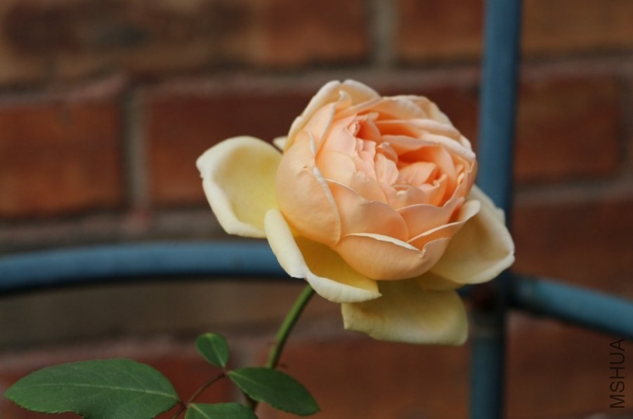 QQͼƬ20140504233707.jpg