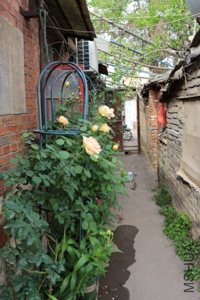 QQͼƬ20140504233803.jpg