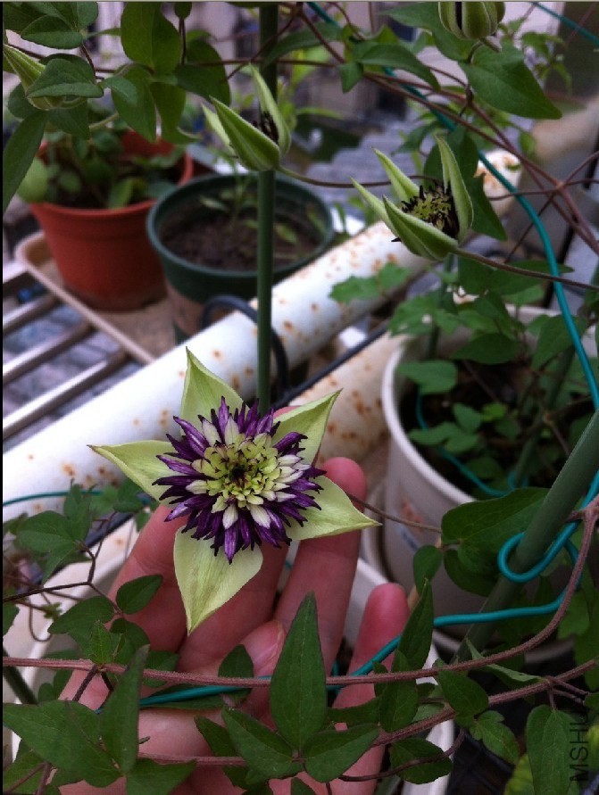 ���ϻ����󣬵��Ǻܿɰ�