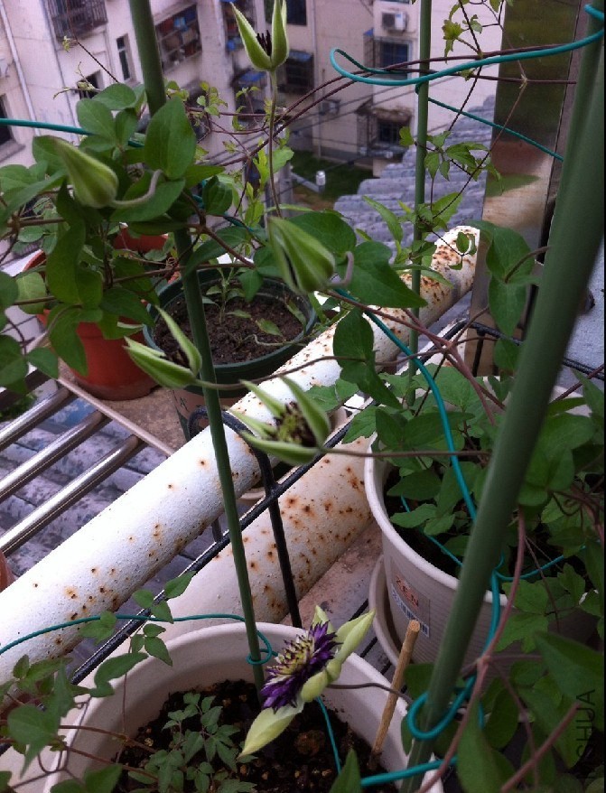 ��û�򿪵Ļ���