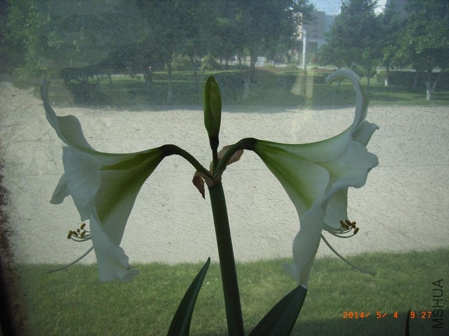 469.jpg
