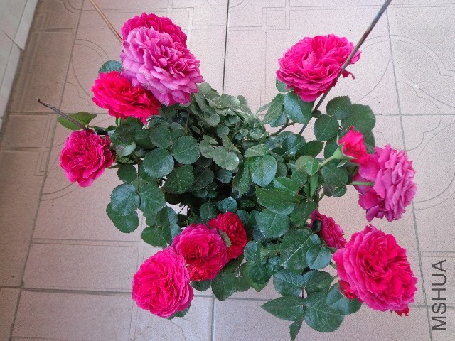DSC01859.JPG