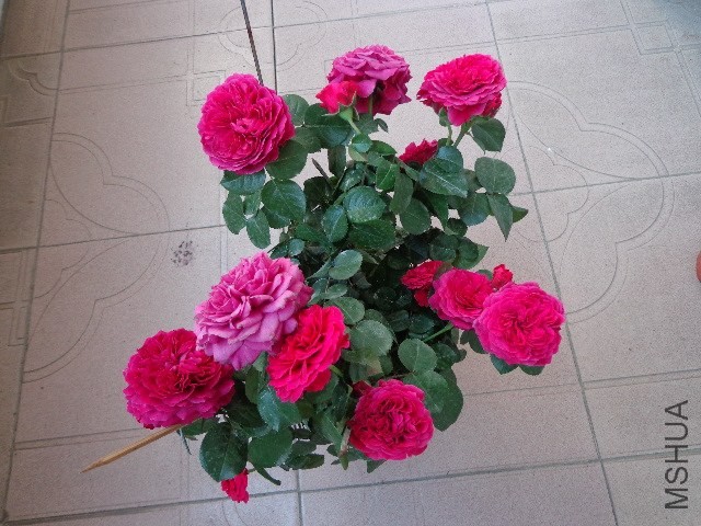 DSC01860.JPG