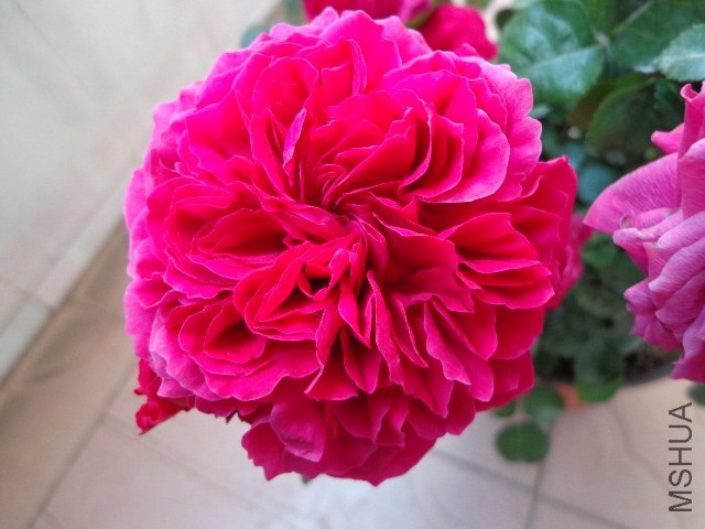 DSC01862.JPG